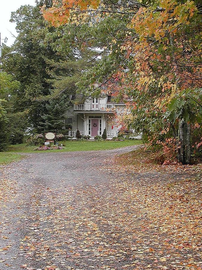 Briarwood Bed & Breakfast Elmsdale Extérieur photo