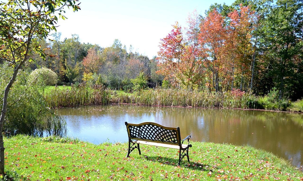 Briarwood Bed & Breakfast Elmsdale Chambre photo