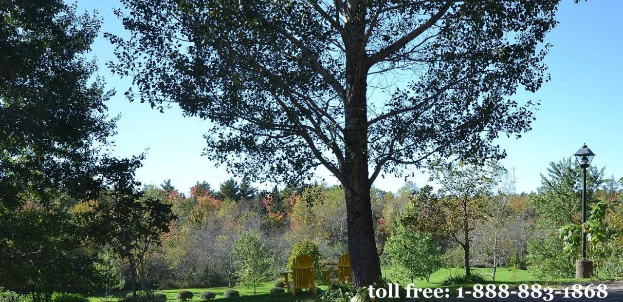 Briarwood Bed & Breakfast Elmsdale Chambre photo